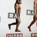 【衝撃画像】2000万年後、進化を続けた人間の姿がヤバすぎるｗｗｗｗｗｗｗｗｗｗｗｗｗ
