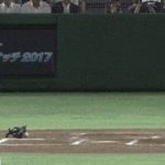 【衝撃映像】この野球の乱闘がいくらなんでもヤバすぎる…