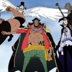 【速報】黒ひげ海賊団、もうひとり謎のメンバーがいる事が判明する！