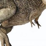 【画像】最新のティラノサウルス復元図、全盛期以上のカッコよさに！