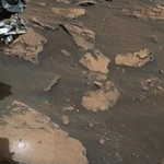 【緊急速報】NASA、火星生物発見！！！！