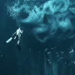 【閲覧注意】海洋恐怖症の人間に見せたら発狂する動画